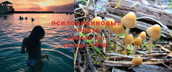 прущая мука Мегион