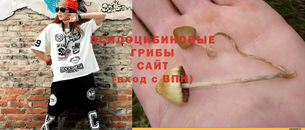 прущая мука Мегион