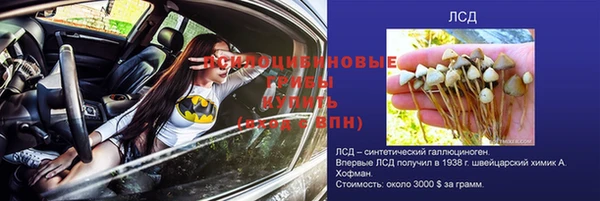 apvp Медвежьегорск